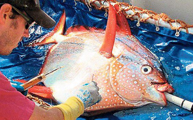 balik-007.jpg balik-007.jpg