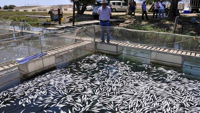 balik-010.jpg balik-010.jpg