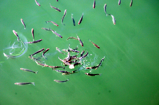 balik1-001.jpg balik1-001.jpg