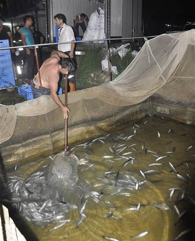 balik1-007.jpg balik1-007.jpg