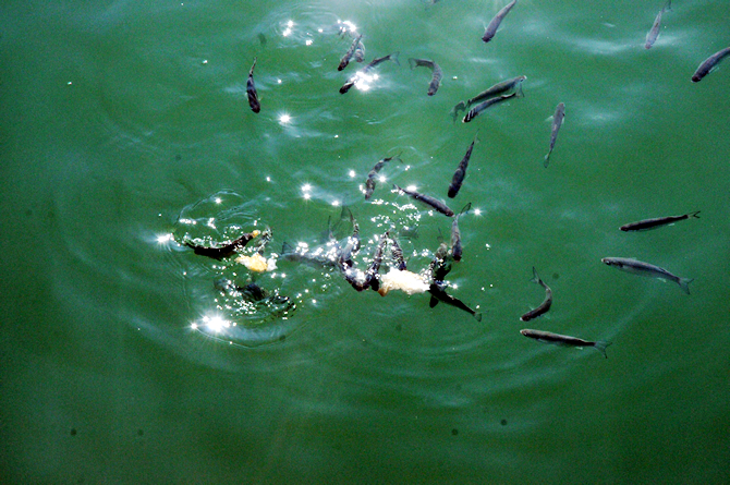 balik2-002.jpg balik2-002.jpg