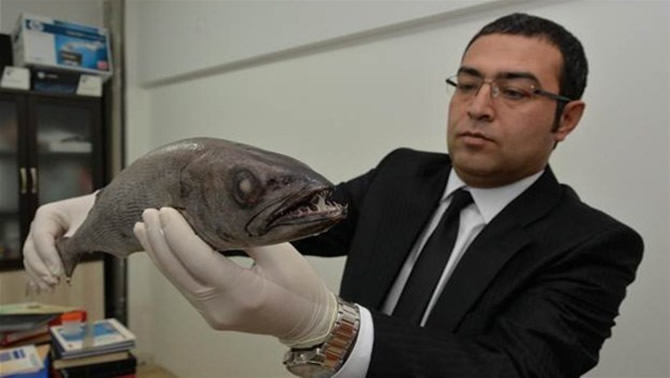 balik2-006.jpg balik2-006.jpg