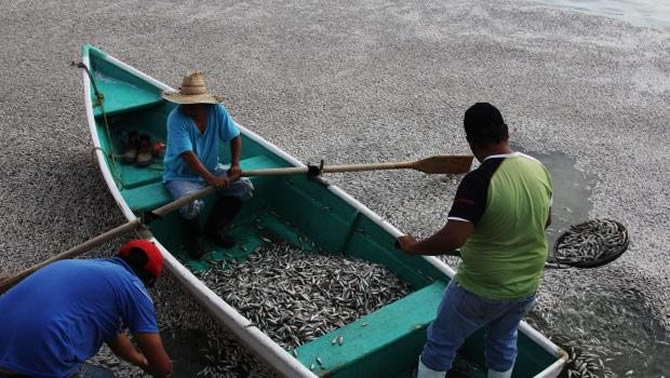 balik2-007.jpg balik2-007.jpg