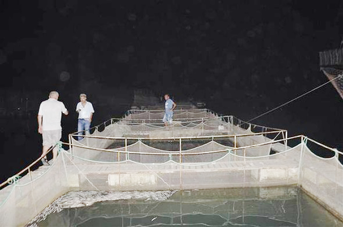 balik2-009.jpg balik2-009.jpg