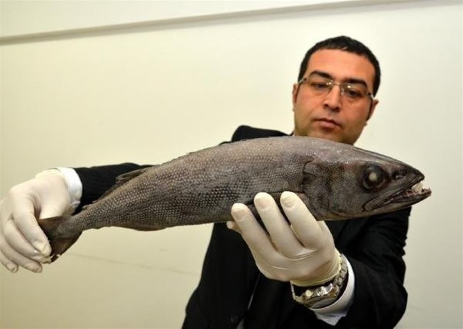 balik3-004.jpg balik3-004.jpg