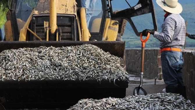 balik3-005.jpg balik3-005.jpg