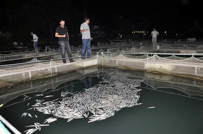 balik3-006.jpg balik3-006.jpg