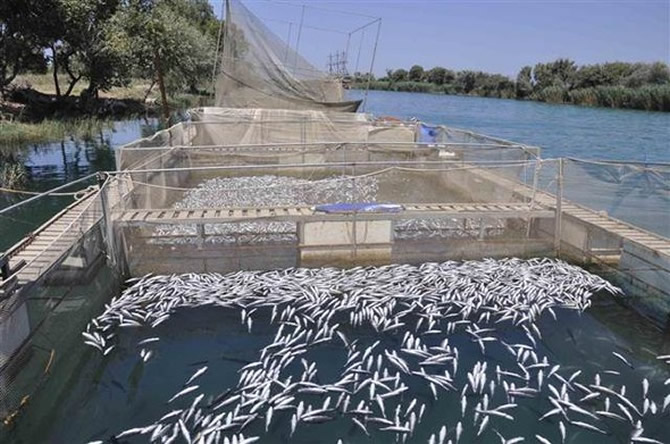 balik5-003.jpg balik5-003.jpg