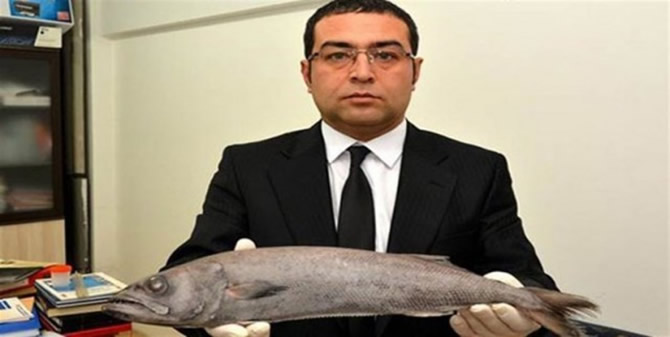 balik_1.jpg balik_1.jpg