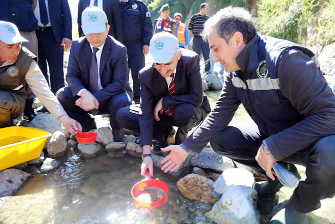 balik_2.jpg balik_2.jpg