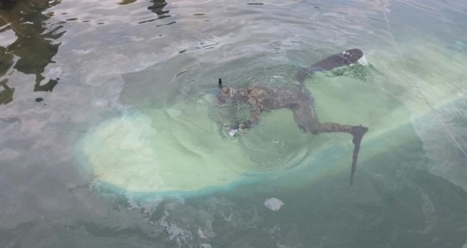 balik_tekne_lodos.jpg balik_tekne_lodos.jpg