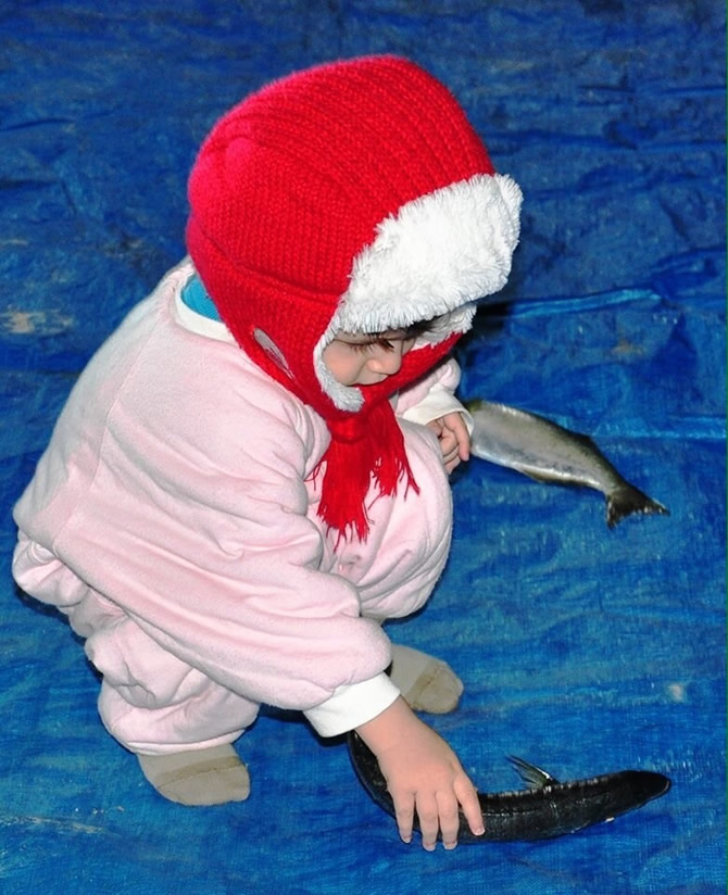 balikci2-005.jpg balikci2-005.jpg