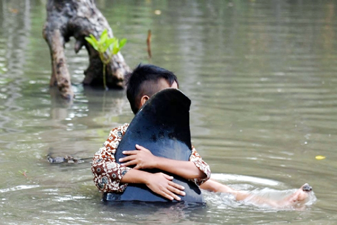 balina-008.jpg balina-008.jpg