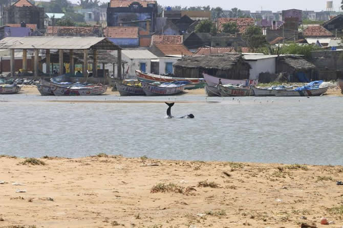 balina1-004.jpg balina1-004.jpg