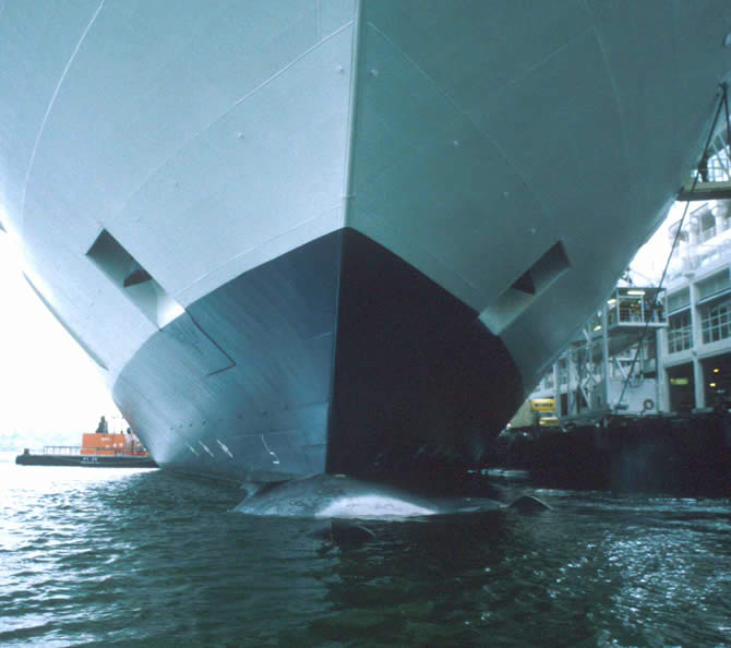 balina1-008.jpg balina1-008.jpg