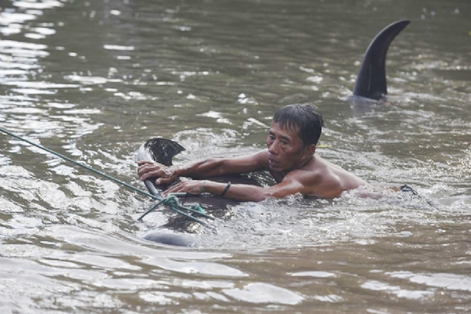 balina1-009.jpg balina1-009.jpg