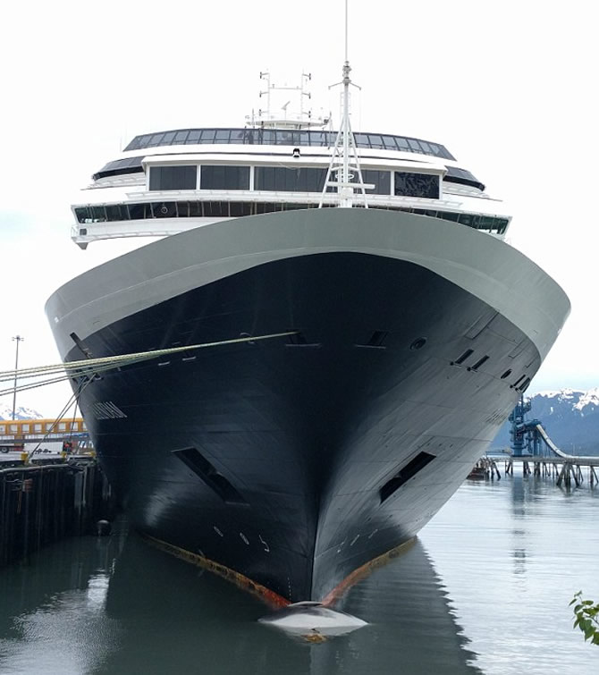 balina2-009.jpg balina2-009.jpg