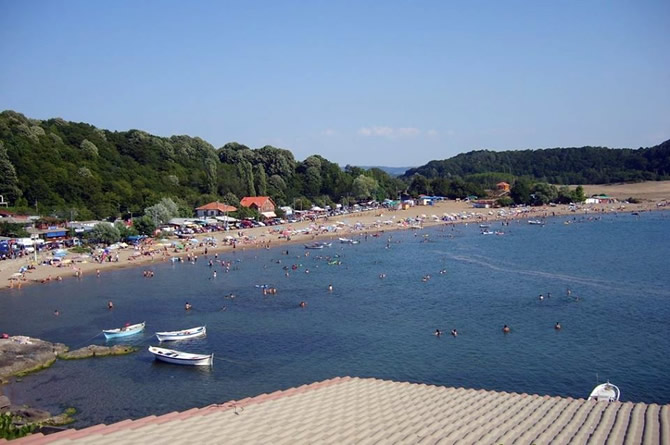 bartin.jpg bartin.jpg