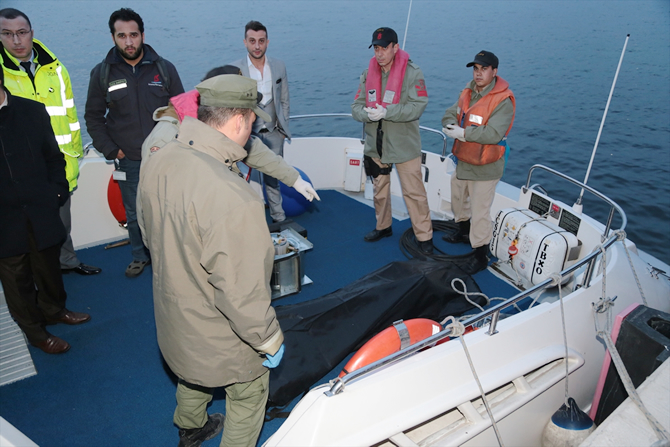 bilal_bal2-001.jpg bilal_bal2-001.jpg