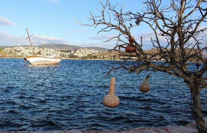 bodrum_3-001.jpg bodrum_3-001.jpg