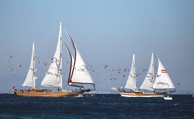 bodrum_cup_1-002.jpg
