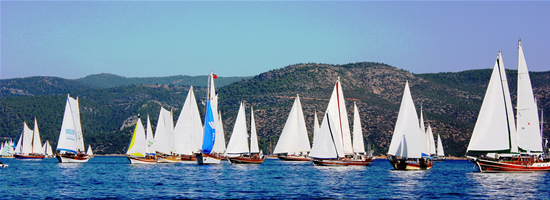 bodrumcup3.jpg