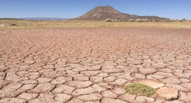 bolivya_gol2.jpg bolivya_gol2.jpg