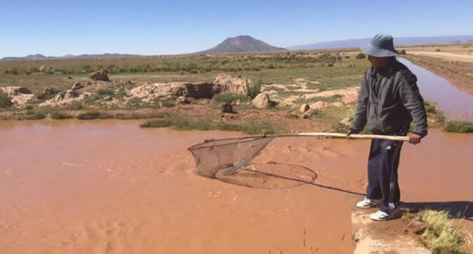 bolivya_gol4.jpg bolivya_gol4.jpg