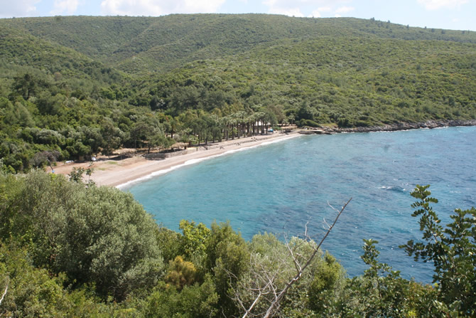 boncuk1.jpg boncuk1.jpg