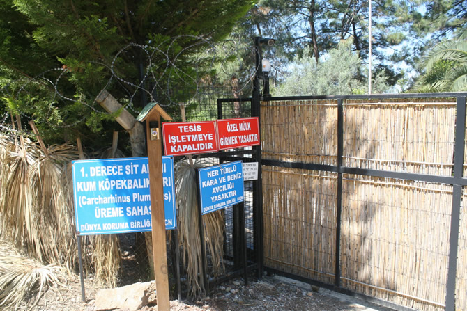 boncuk2.jpg boncuk2.jpg