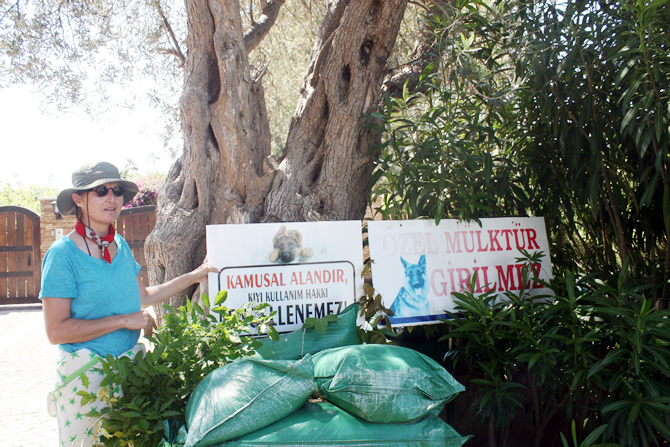 boncuk3.jpg boncuk3.jpg