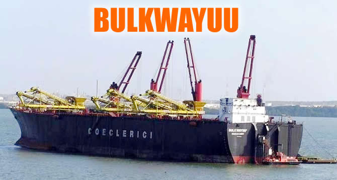 bulkwayuu_buyuk.jpg