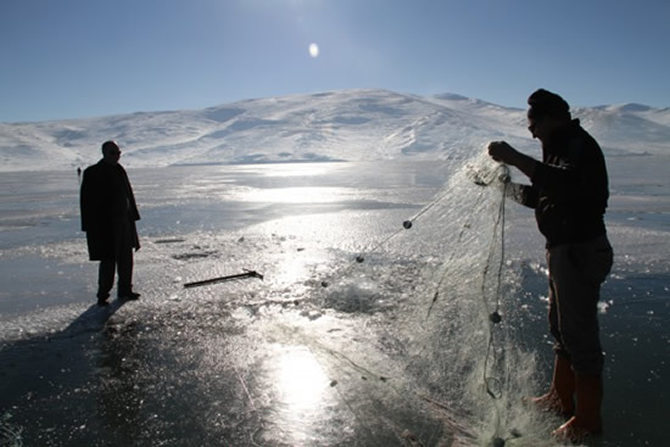 buz-001.jpg buz-001.jpg