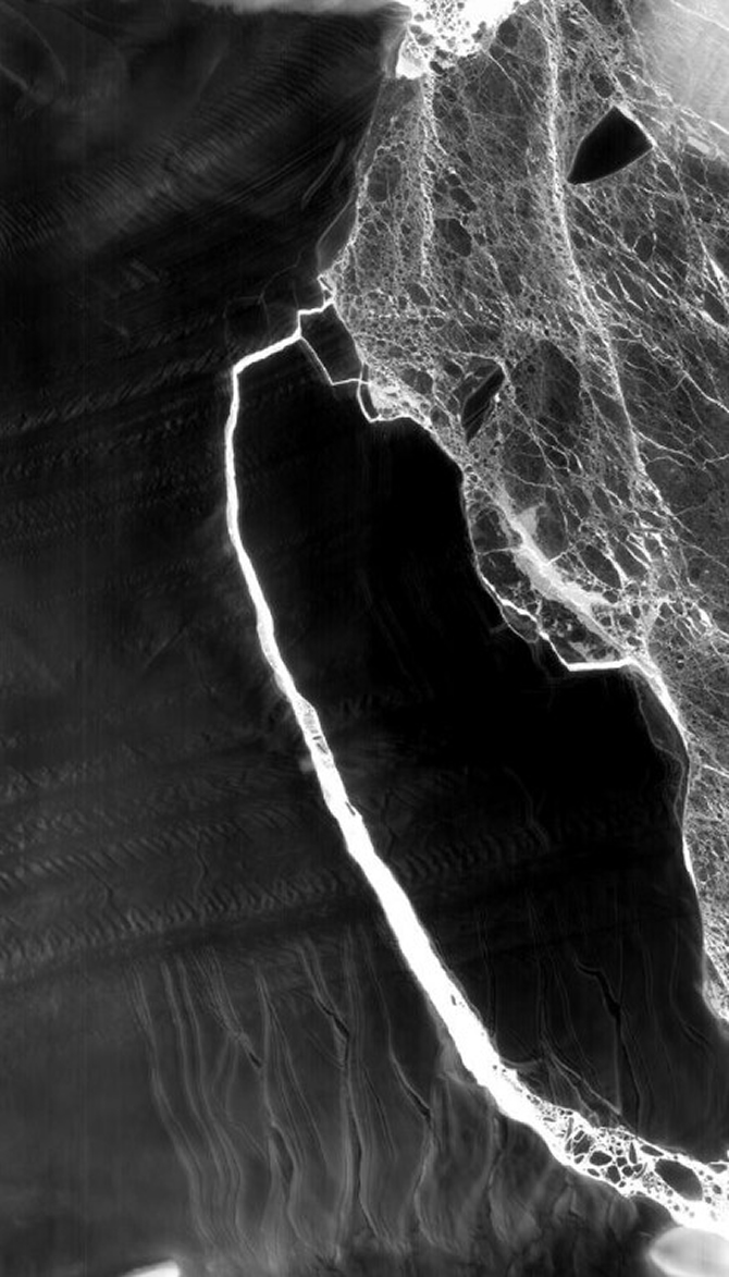 buz-ic.jpg buz-ic.jpg