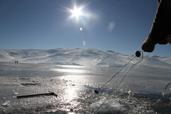 buz1-001.jpg buz1-001.jpg