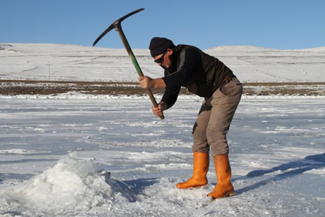 buz2-001.jpg buz2-001.jpg