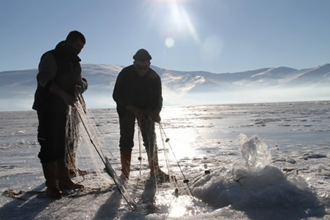 buz3-001.jpg buz3-001.jpg