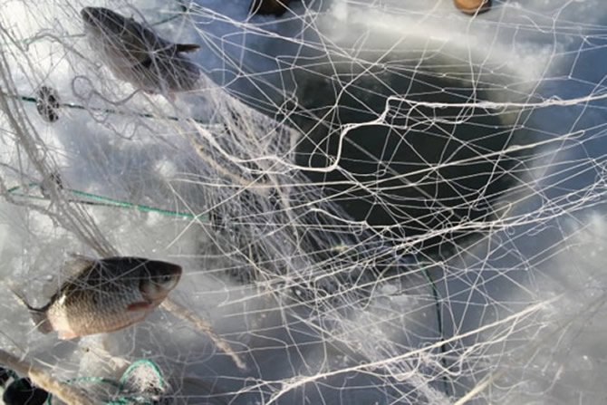 buz4-001.jpg buz4-001.jpg