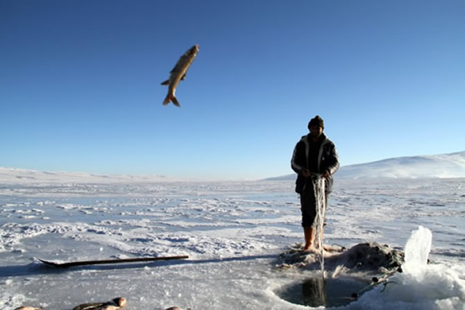 buz7-001.jpg buz7-001.jpg