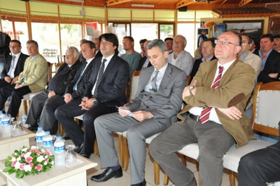 calistay4.jpg calistay4.jpg