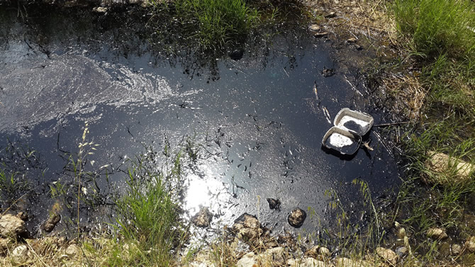 camgazi.jpg camgazi.jpg