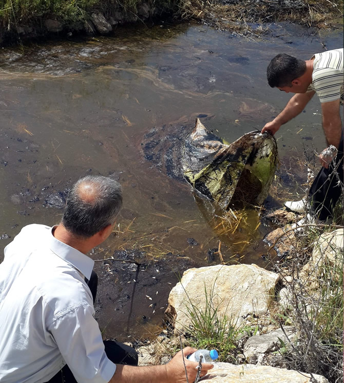 camgazi1.jpg camgazi1.jpg