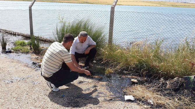 camgazi2.jpg camgazi2.jpg