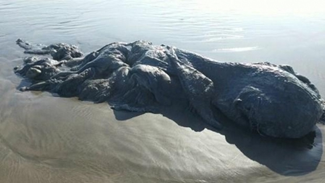 canavar.jpg canavar.jpg