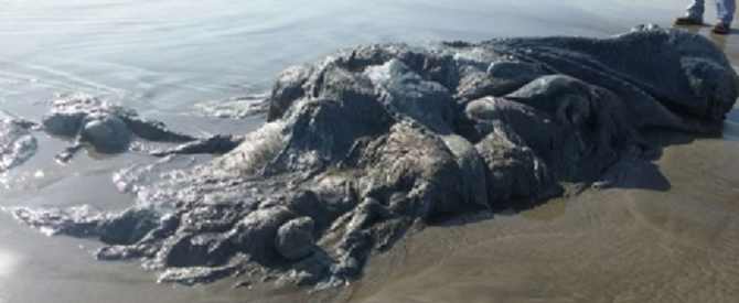 canavar2.jpg canavar2.jpg