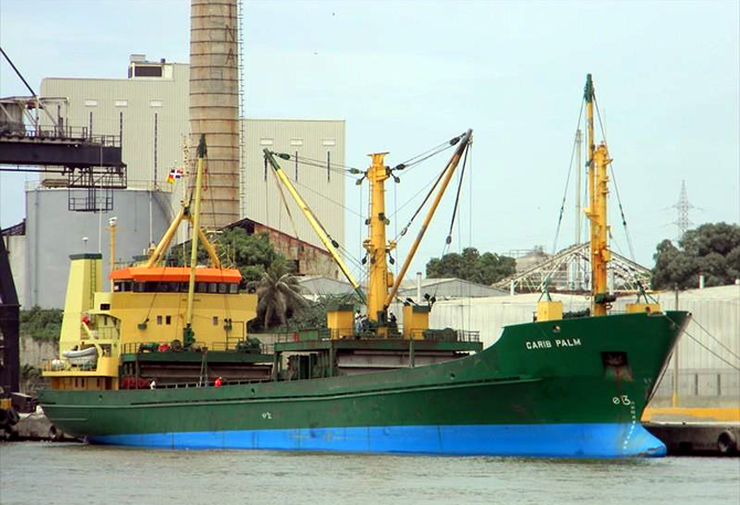 carib_palm1.jpg carib_palm1.jpg