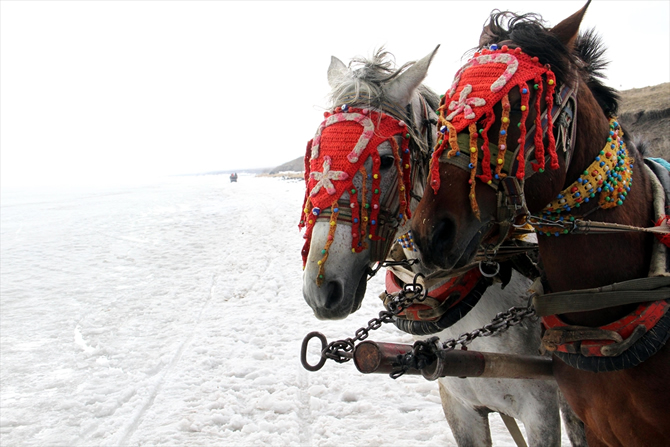 cildir4-001.jpg cildir4-001.jpg