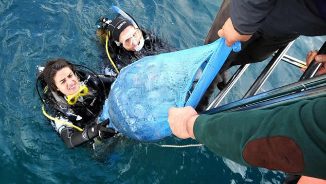 cop1-003.jpg cop1-003.jpg