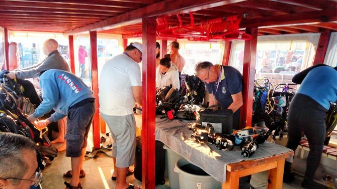 dalis_1-001.jpg dalis_1-001.jpg