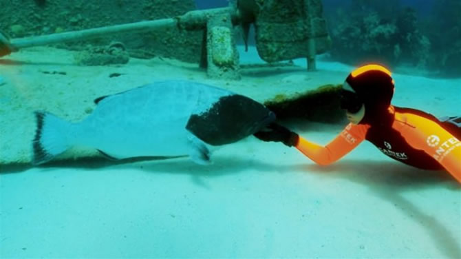 dalkilic-001.jpg dalkilic-001.jpg